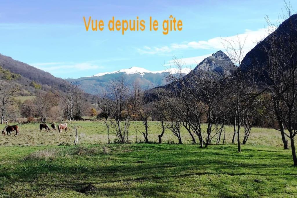 Saurat Grange En Pierres. Grand Jardin Et Belle Vueヴィラ エクステリア 写真