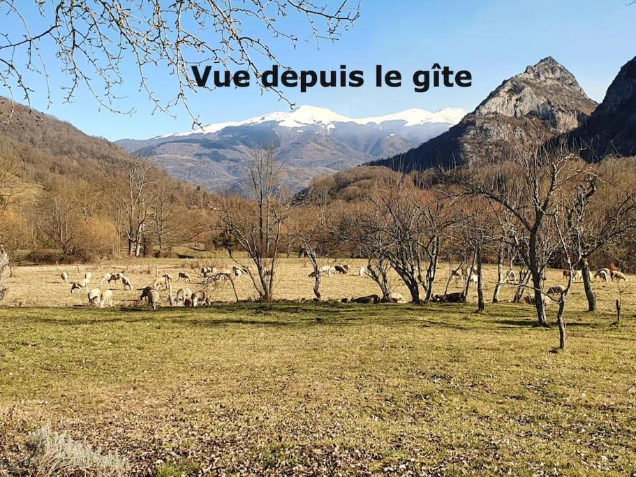 Saurat Grange En Pierres. Grand Jardin Et Belle Vueヴィラ エクステリア 写真