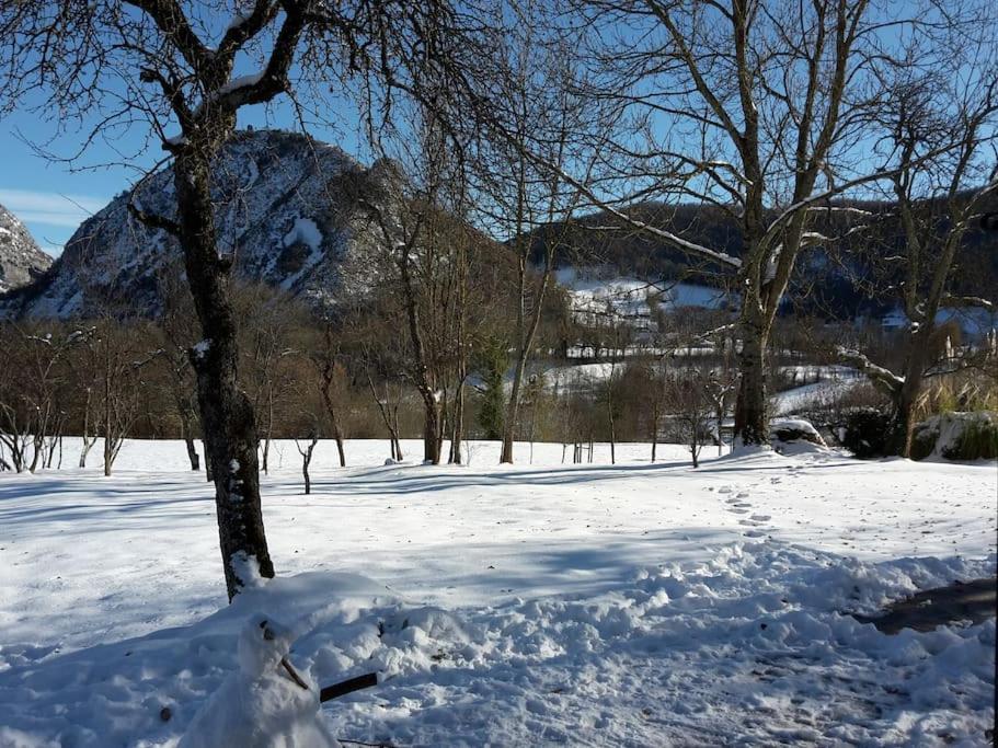 Saurat Grange En Pierres. Grand Jardin Et Belle Vueヴィラ エクステリア 写真